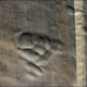 Imagen para el artículo titulado Nuevas fotos y video del interior del misterioso cráter de Siberia
